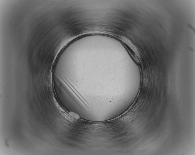 X0000097961388200804141017