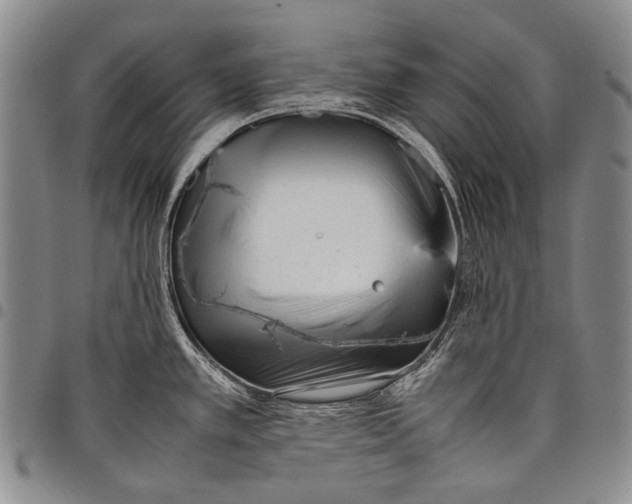 X0000097961389200804141017