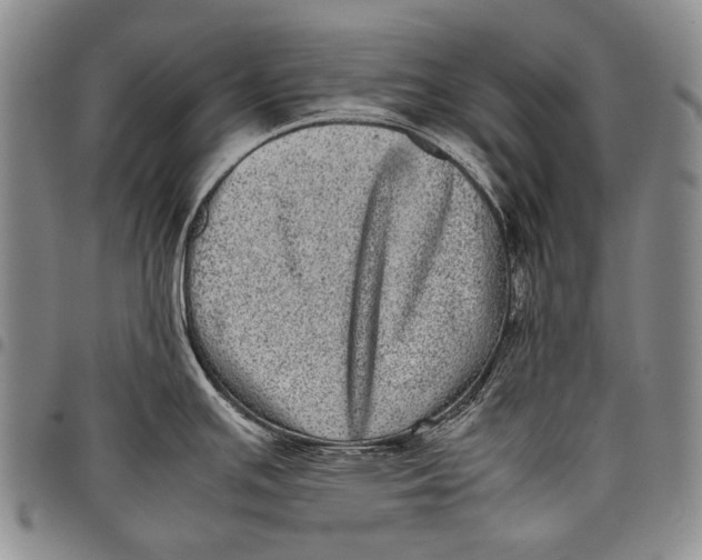 X0000097961391200804141017