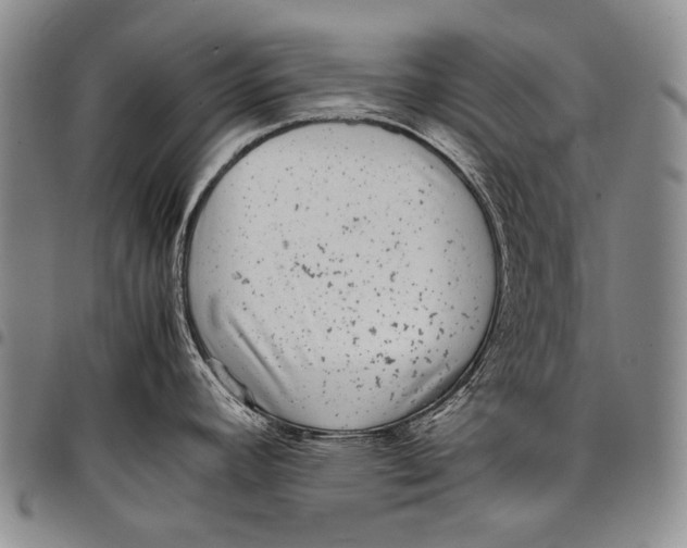 X0000097961392200804141017