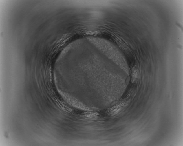 X0000097961394200804141016