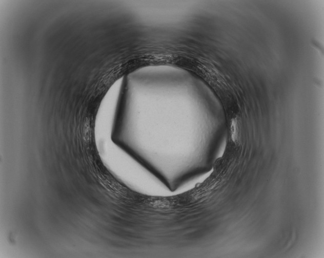 X0000097961395200804141017