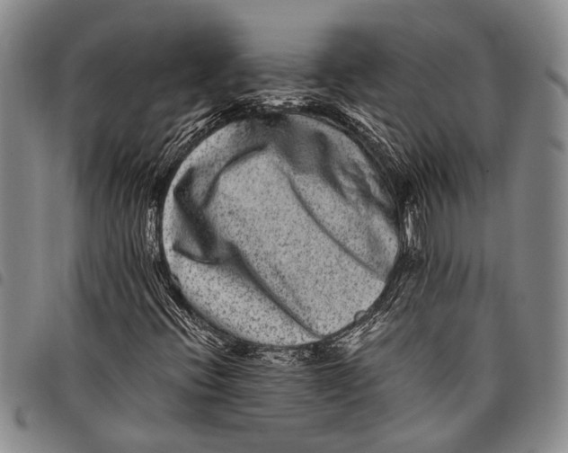 X0000097961396200804141017