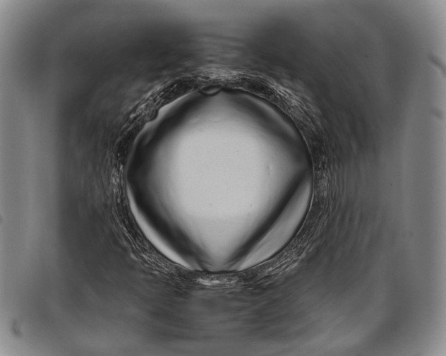 X0000097961397200804141017