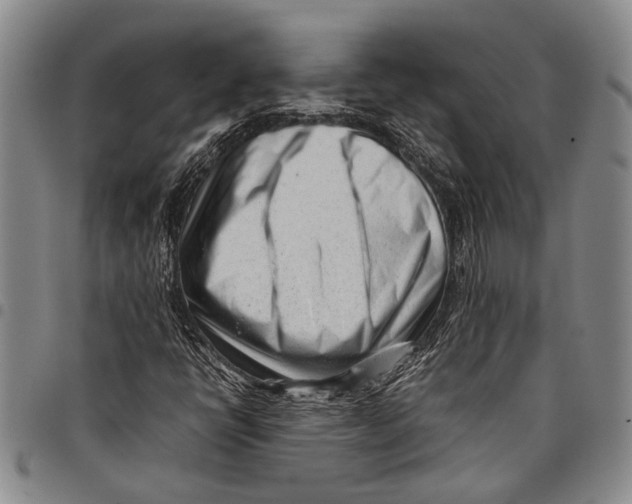 X0000097961398200804141017