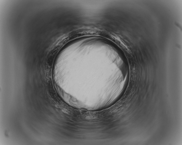 X0000097961399200804141017