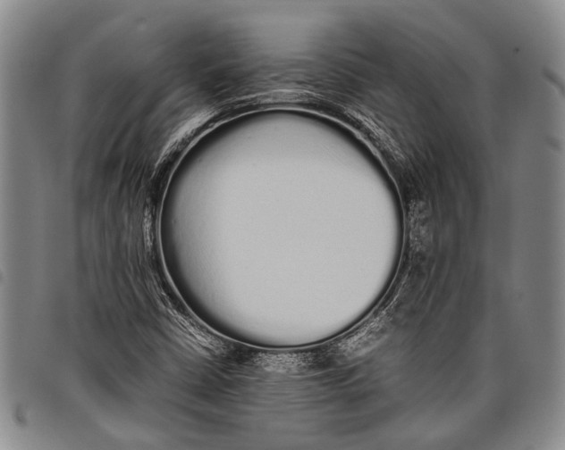 X0000097961402200804141017
