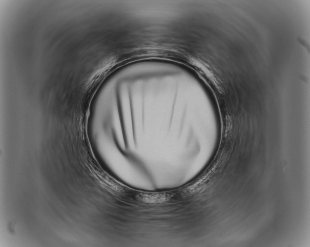 X0000097961403200804141017