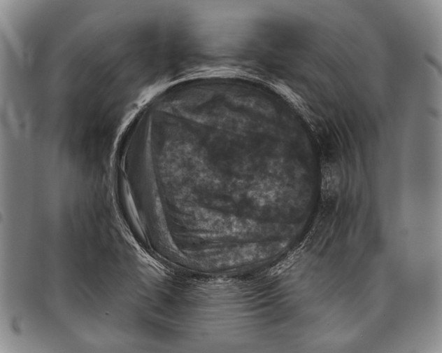 X0000097961414200804141017