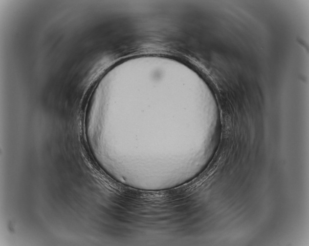 X0000097961415200804141017