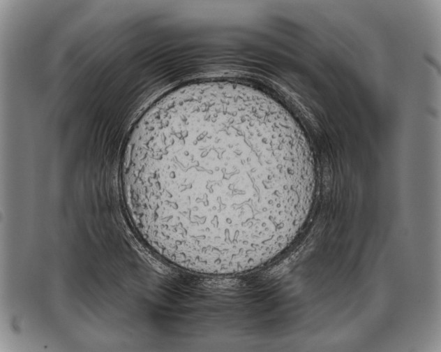 X0000097961417200804141017