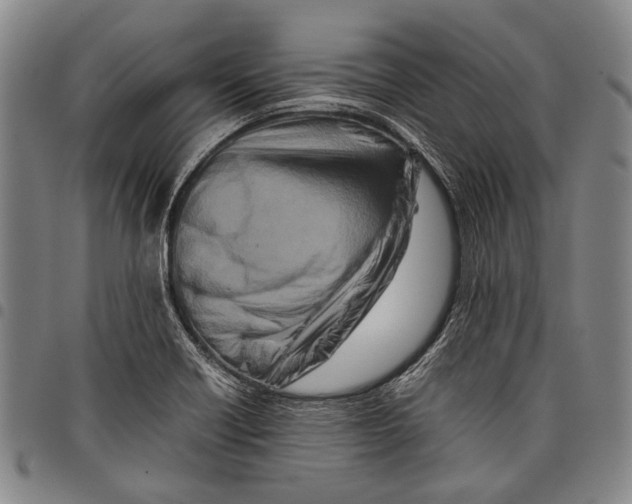 X0000097961418200804141017