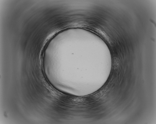 X0000097961419200804141017