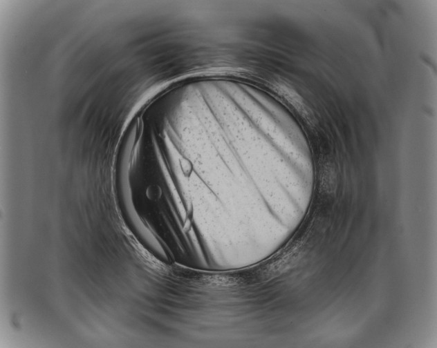 X0000097961420200804141017