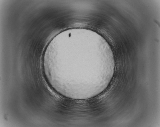 X0000097961421200804141017