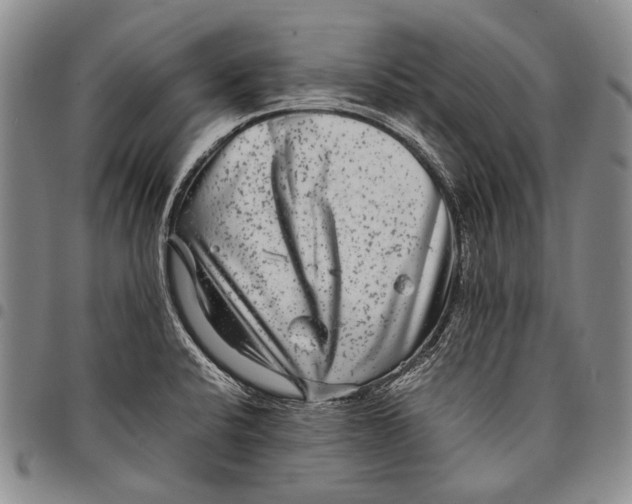 X0000097961424200804141017