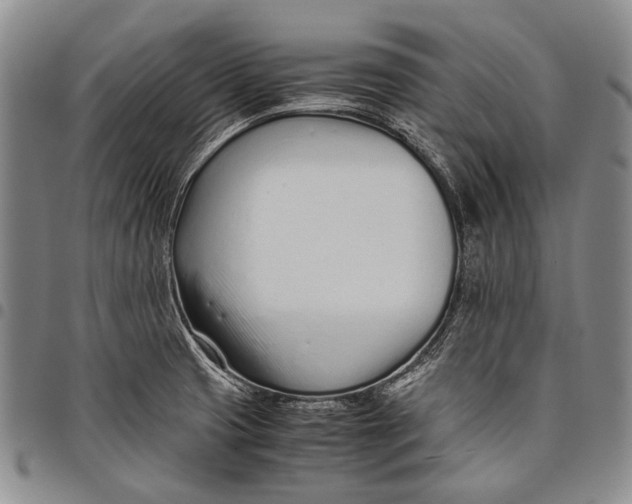 X0000097961425200804141017