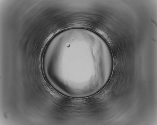 X0000097961427200804141017