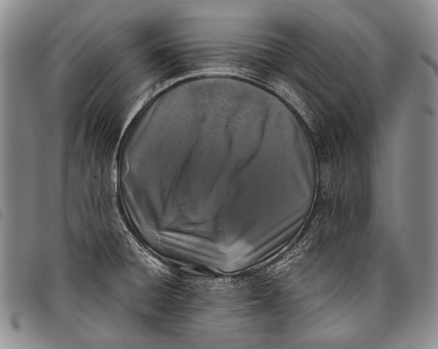 X0000097961428200804141017