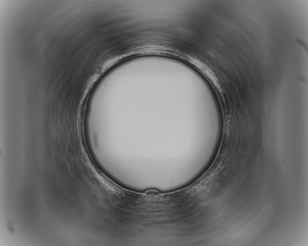 X0000097961429200804141017