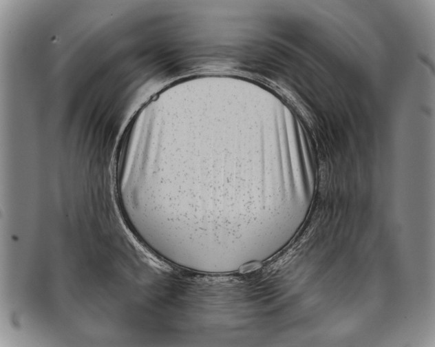 X0000097961432200804141017