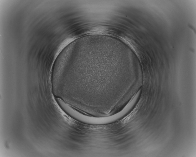X0000097961434200804141017