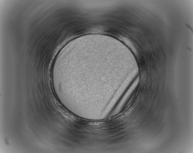 X0000097961435200804141017