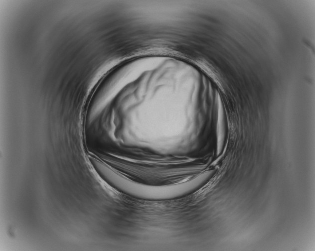 X0000097961438200804141017
