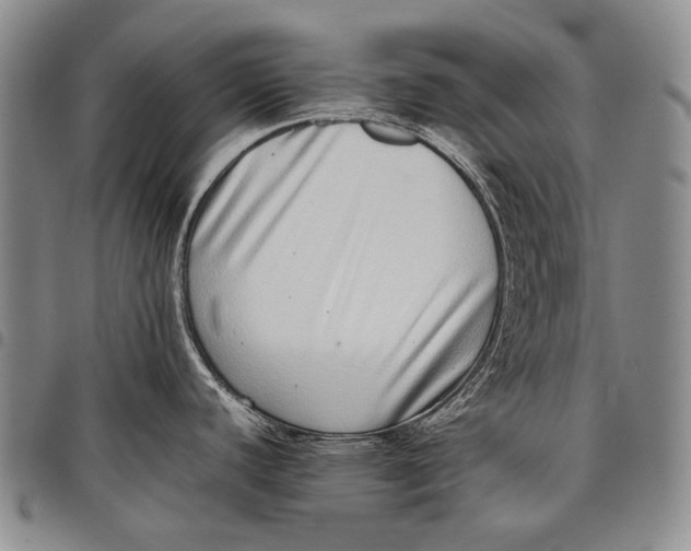 X0000097961440200804141017