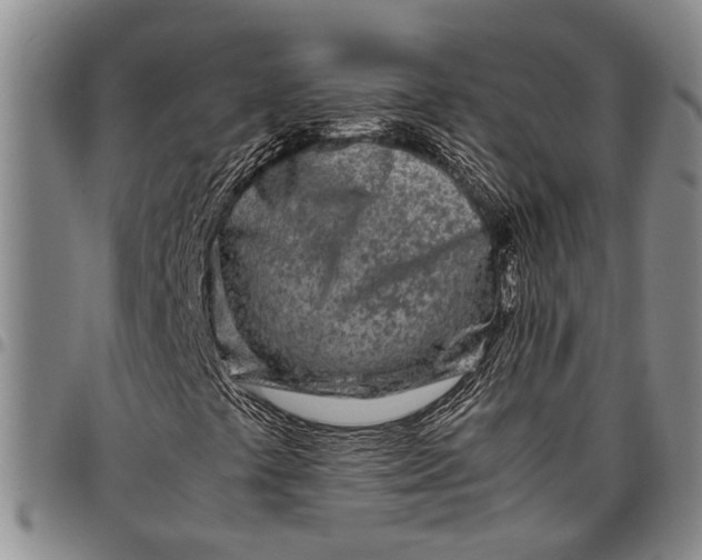X0000097961441200804141016