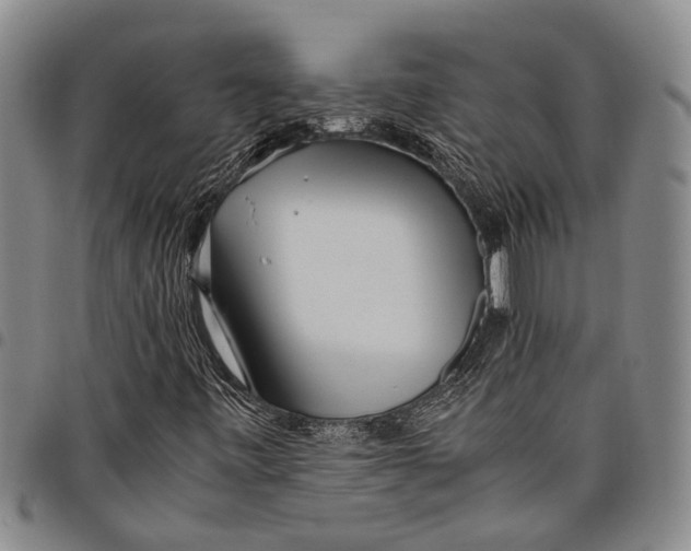 X0000097961443200804141016