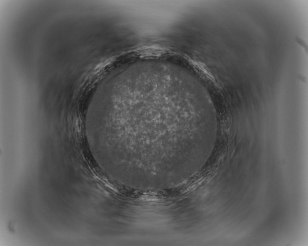 X0000097961445200804141016