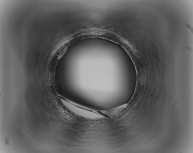X0000097961448200804141016