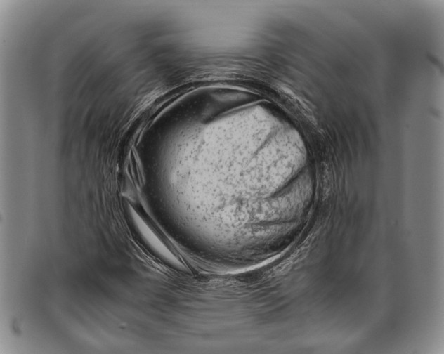 X0000097961449200804141016