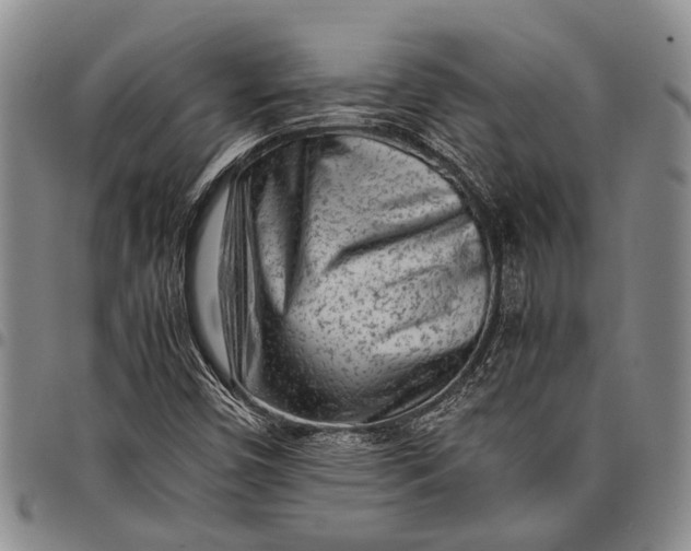 X0000097961450200804141016