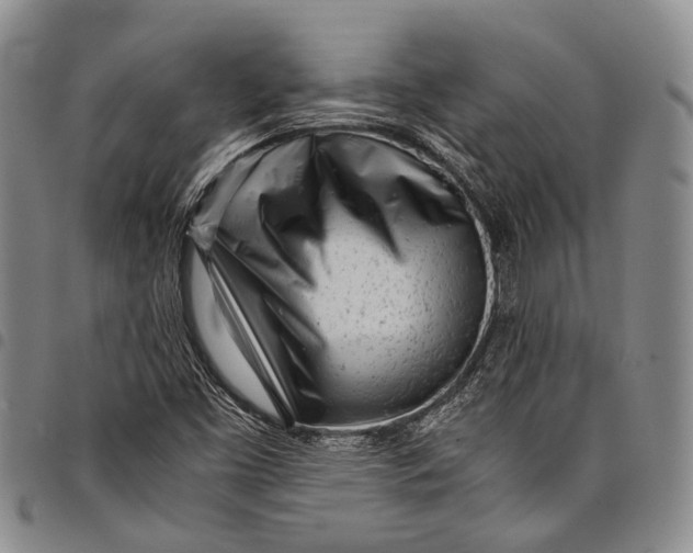 X0000097961453200804141016