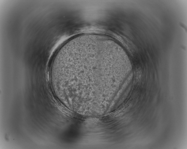 X0000097961462200804141016