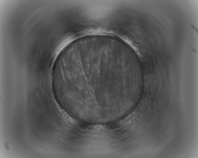 X0000097961463200804141016