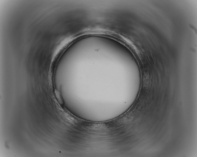 X0000097961464200804141016