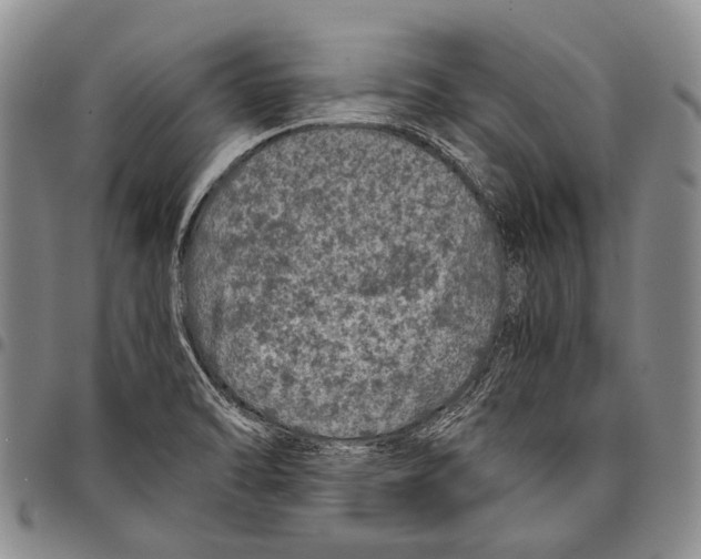 X0000097961470200804141016
