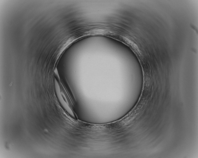 X0000097961473200804141016