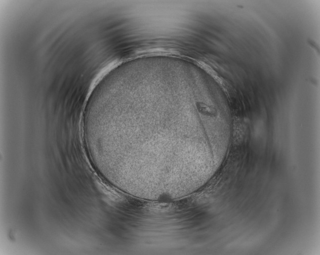 X0000097961474200804141016