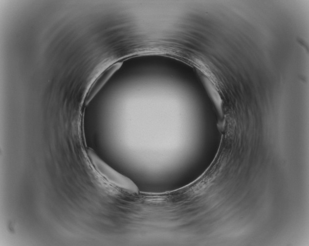 X0000097961484200804141016