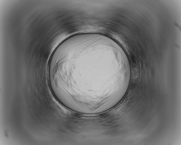 X0000097961487200804141016