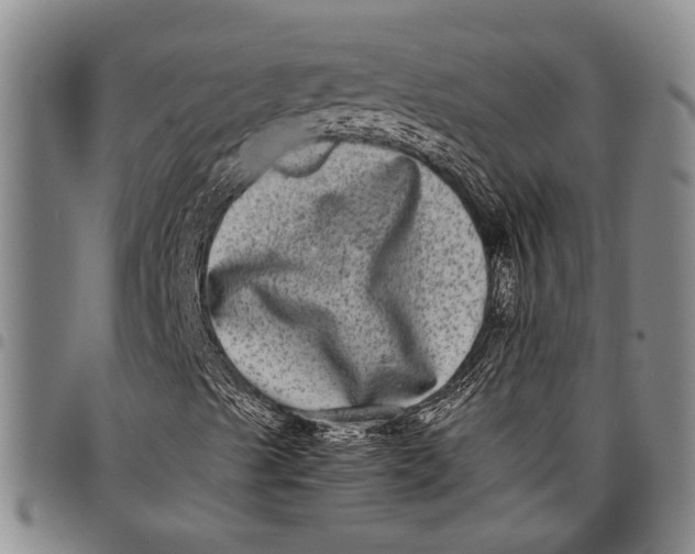 X0000097961489200804141015
