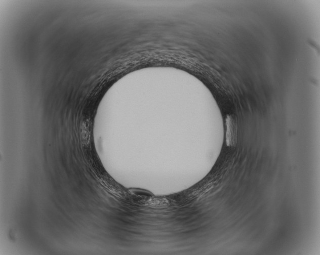 X0000097961491200804141015