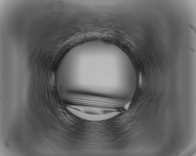 X0000097961492200804141015