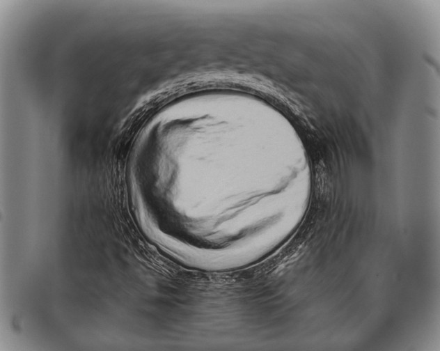 X0000097961494200804141015