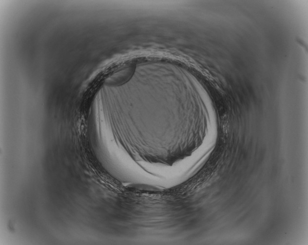 X0000097961495200804141015