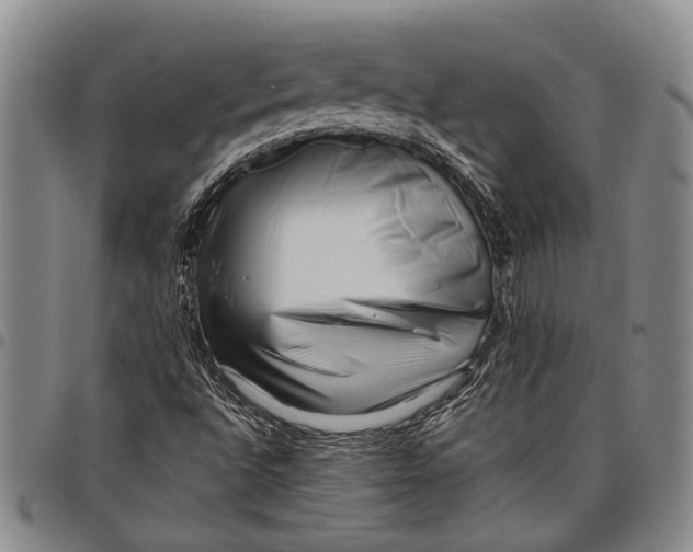 X0000097961496200804141015